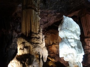 1-4スロベニア　ポストイナ鍾乳洞　レペ・ヤメ（美しの洞窟）